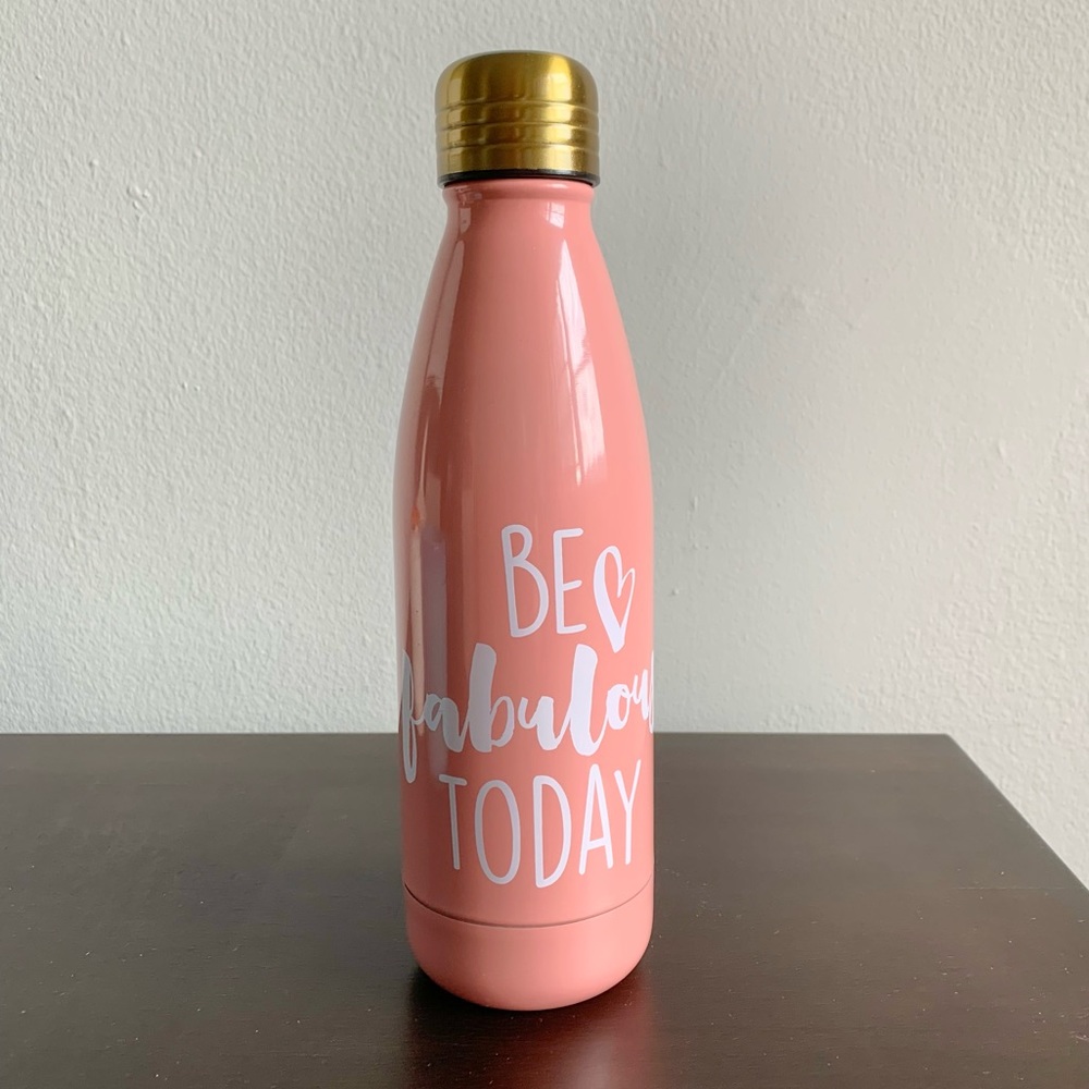 NWT stainless steel pink water bottle